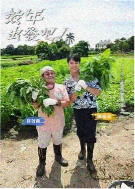 周末慢看片单封面图